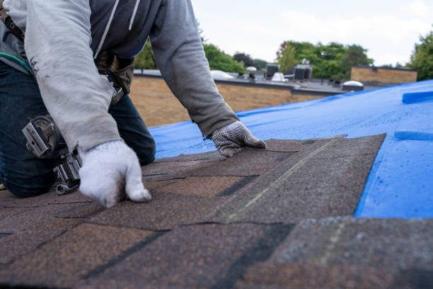 Best Roof Insulation Installation  in Nooksack, WA